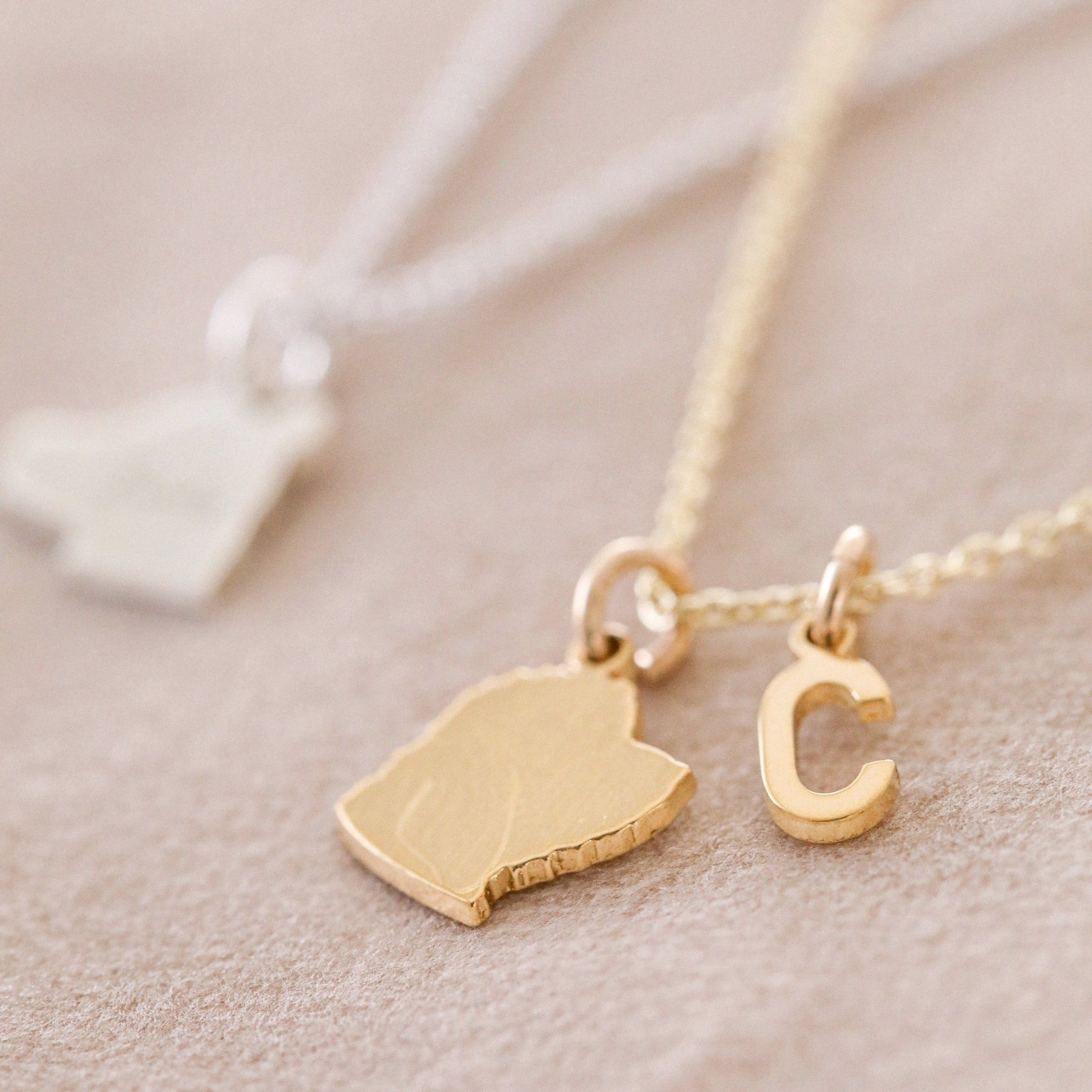 Side profile of your pet handmade into a pet silhouette pendant. The letter C inital charm is added for the first letter of the pets name